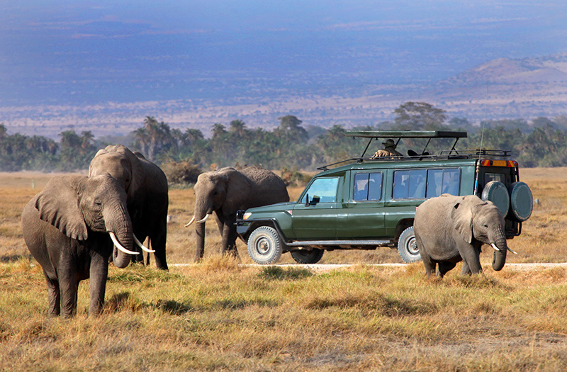 Maasai Mara National Reserve