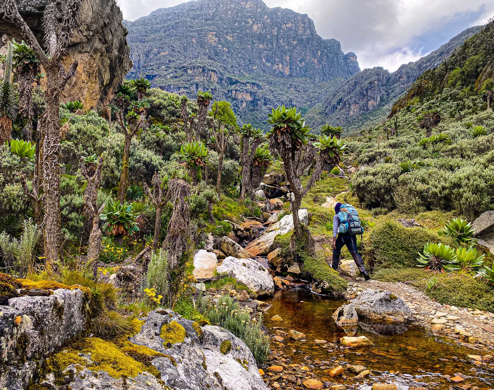 Rwenzori Mountains National Park